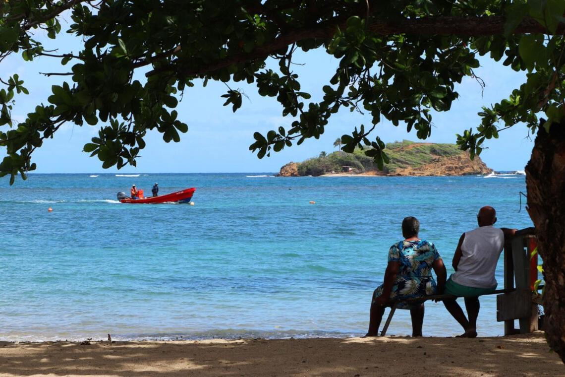 Retraite Tropicale En Bord De Mer Trinité  Extérieur photo